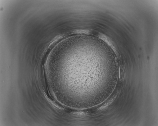 X0000087420253200704271744