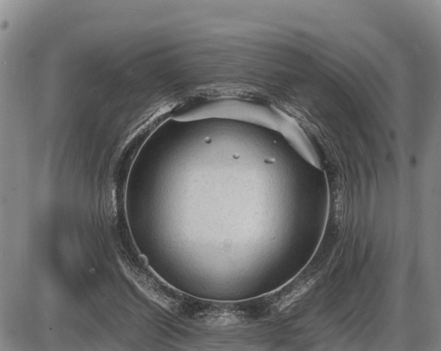 X0000087420254200704271744