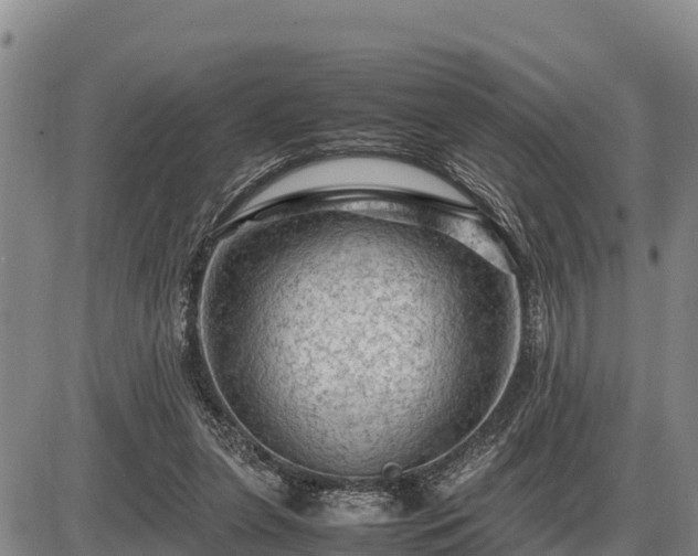 X0000087420255200704271744