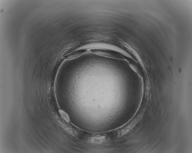 X0000087420257200704271744