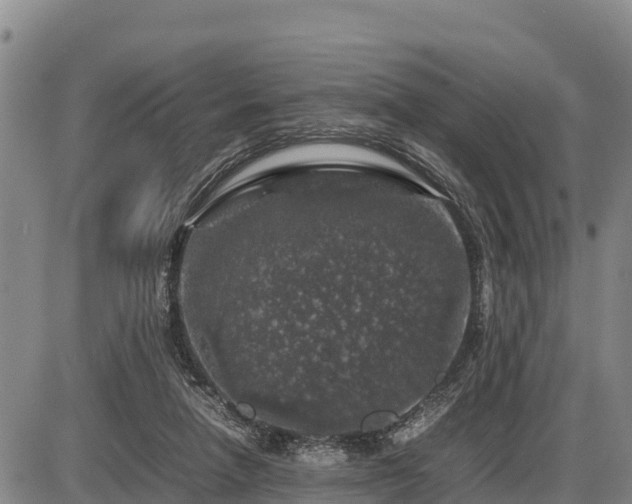 X0000087420258200704271744