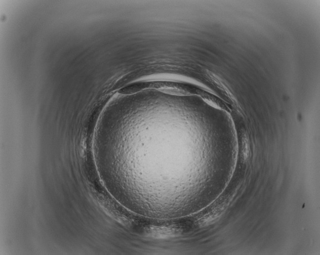 X0000087420259200704271744