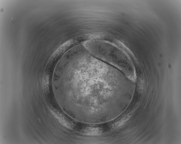 X0000087420260200704271744