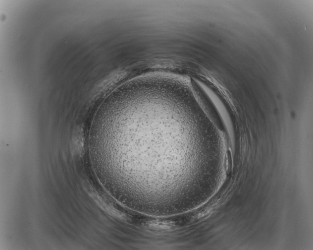 X0000087420261200704271744