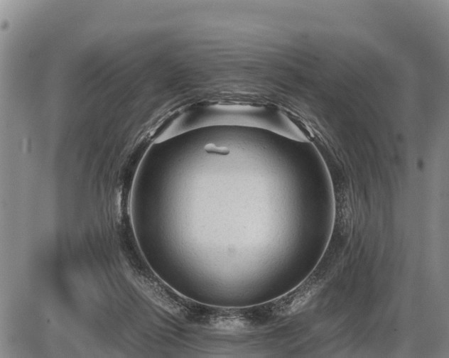 X0000087420262200704271744