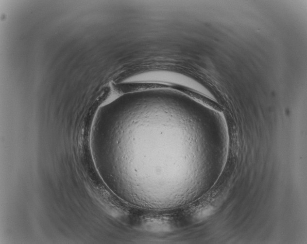 X0000087420263200704271744