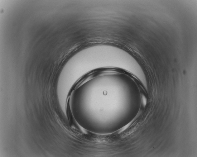 X0000087420264200704271744