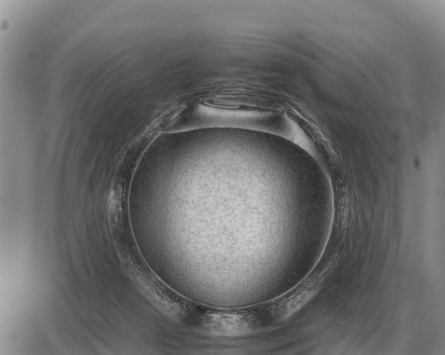 X0000087420265200704271744