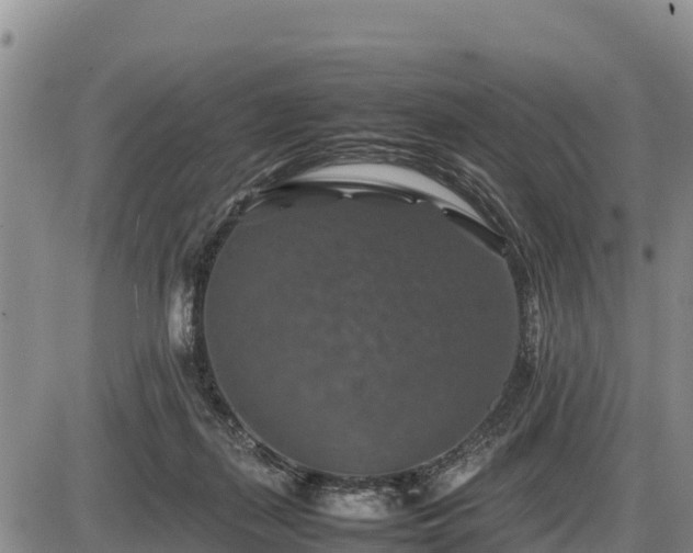 X0000087420267200704271744