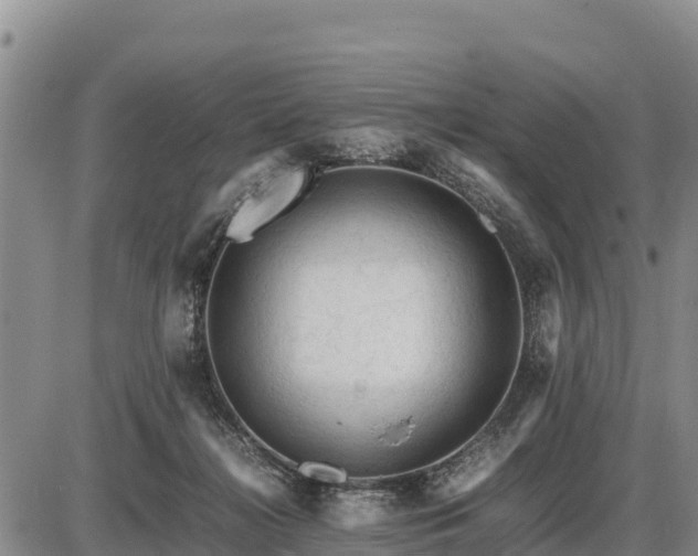 X0000087420268200704271744