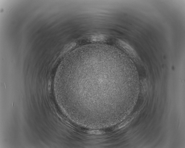 X0000087420269200704271744