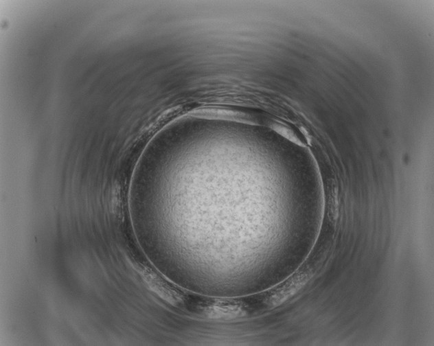 X0000087420270200704271744