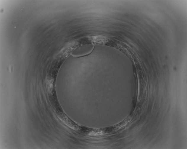 X0000087420271200704271744