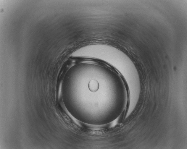 X0000087420272200704271745