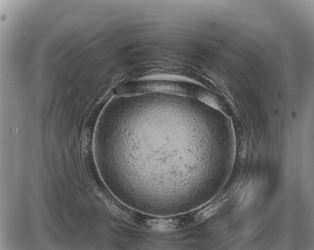 X0000087420273200704271745