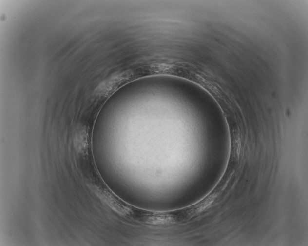 X0000087420274200704271745