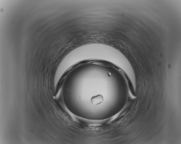 X0000087420276200704271745