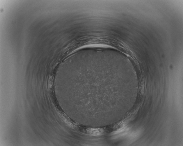 X0000087420277200704271745