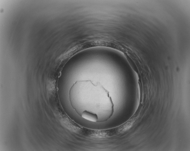 X0000087420278200704271745