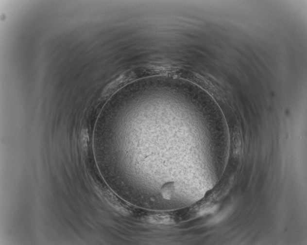 X0000087420279200704271745