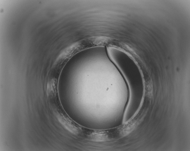 X0000087420280200704271745