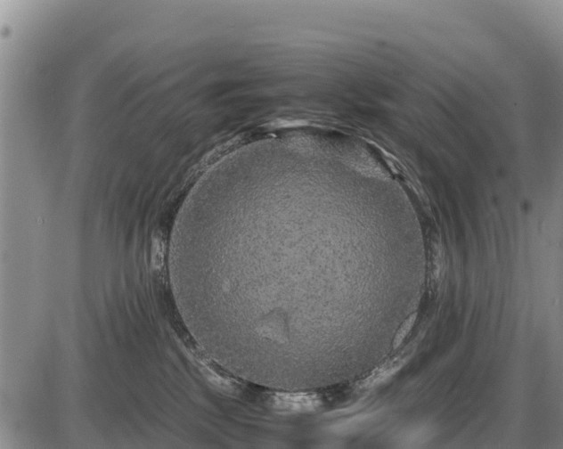 X0000087420281200704271745