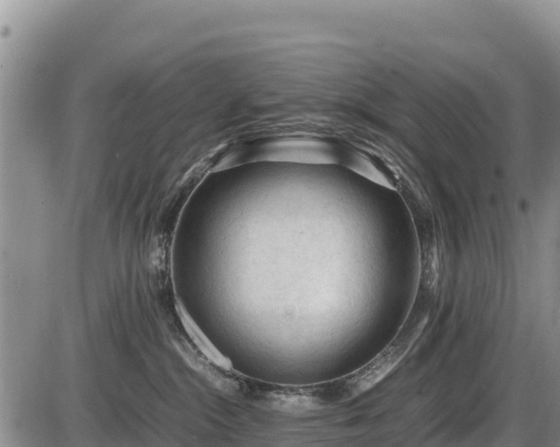 X0000087420284200704271745