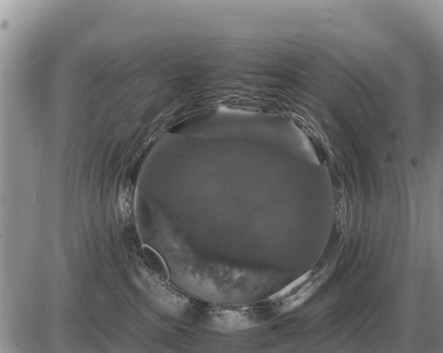 X0000087420285200704271745