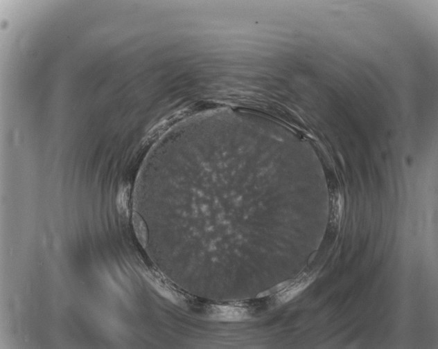 X0000087420286200704271745