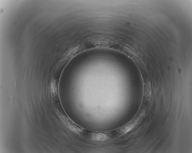 X0000087420287200704271745