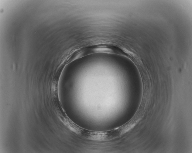 X0000087420288200704271745