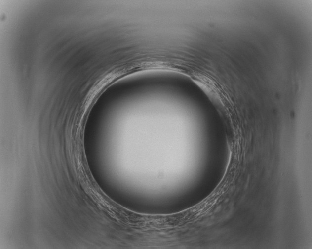 X0000087420289200704271744