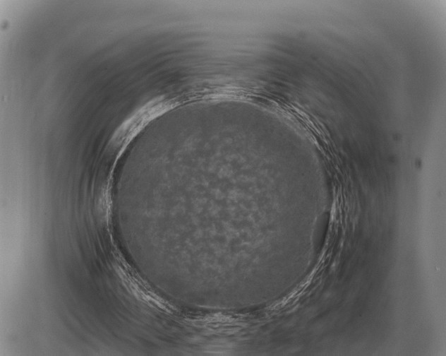 X0000087420290200704271744