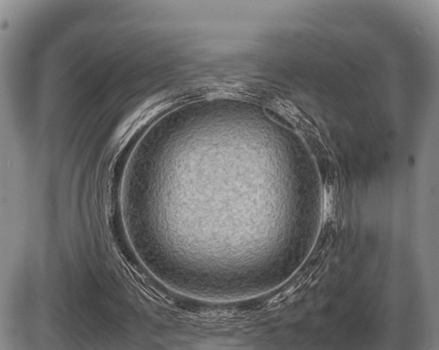 X0000087420291200704271744