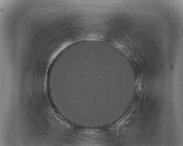 X0000087420292200704271744