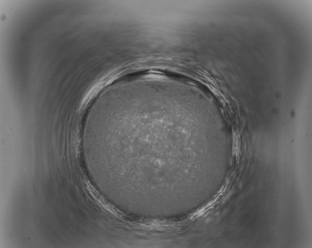 X0000087420293200704271744