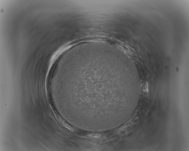 X0000087420294200704271744