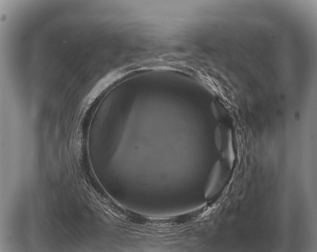 X0000087420295200704271744