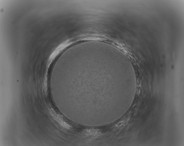 X0000087420296200704271744