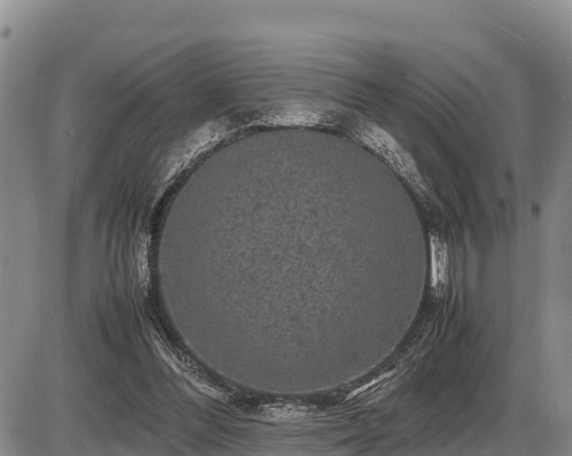 X0000087420300200704271744