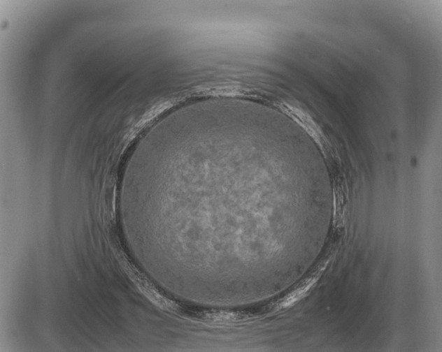 X0000087420301200704271744