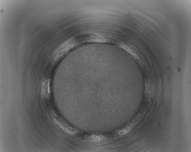 X0000087420302200704271744