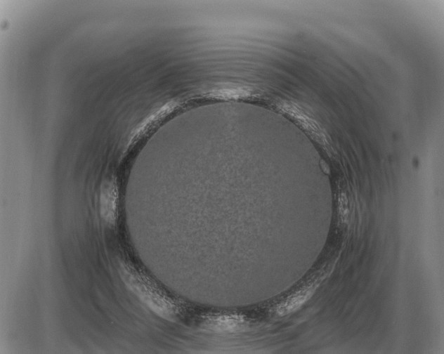 X0000087420304200704271744