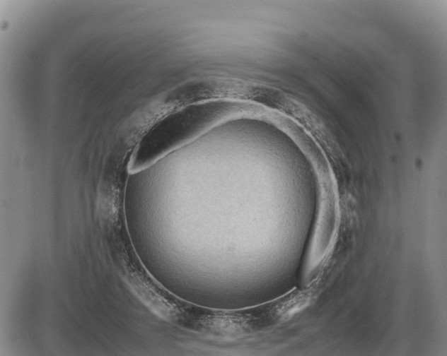 X0000087420305200704271744