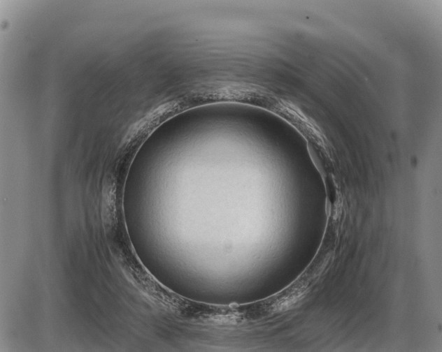 X0000087420306200704271744