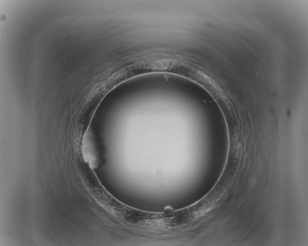 X0000087420307200704271744