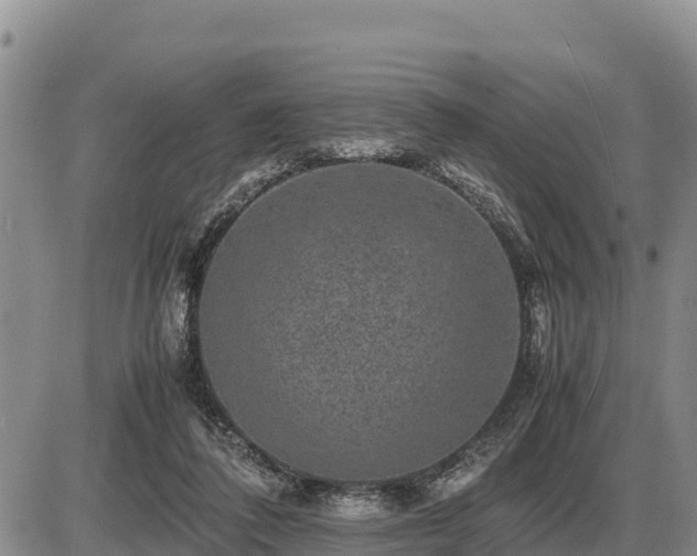 X0000087420308200704271744