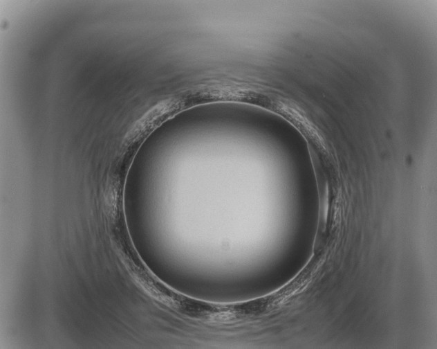 X0000087420309200704271744