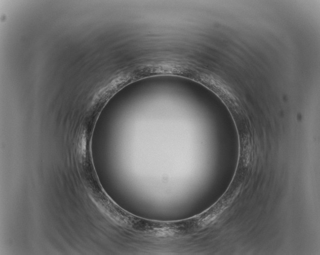 X0000087420310200704271744