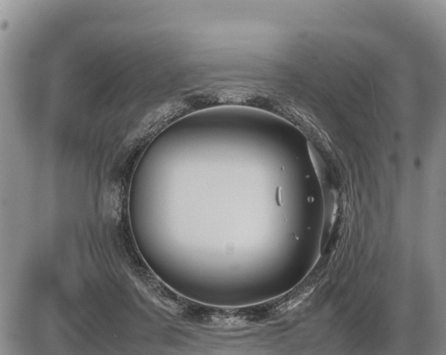 X0000087420311200704271744